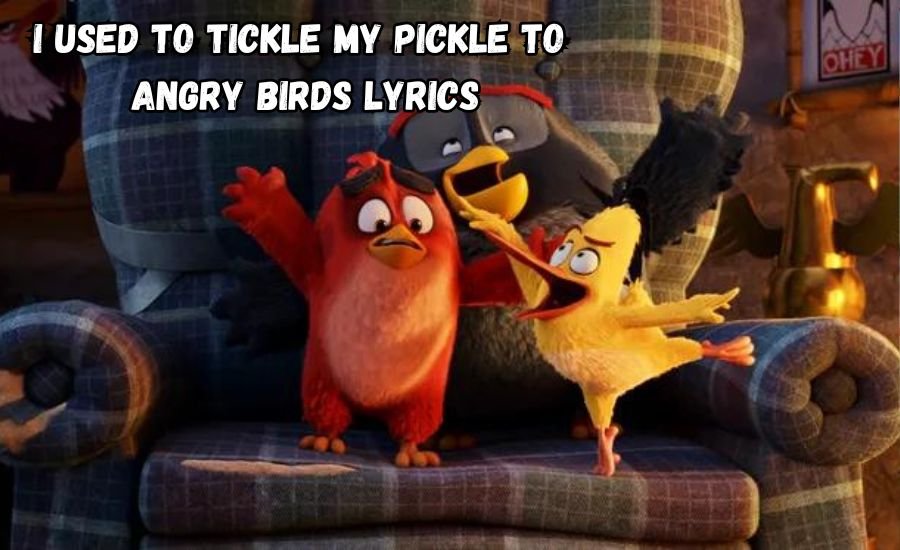 i used to tickle my pickle to angry birds lyrics