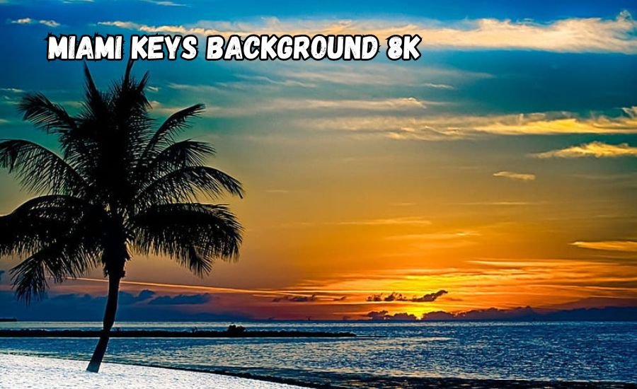 miami keys background 8k