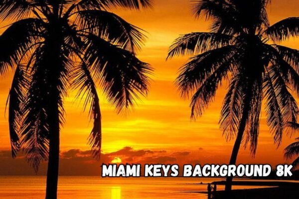 miami keys background 8k