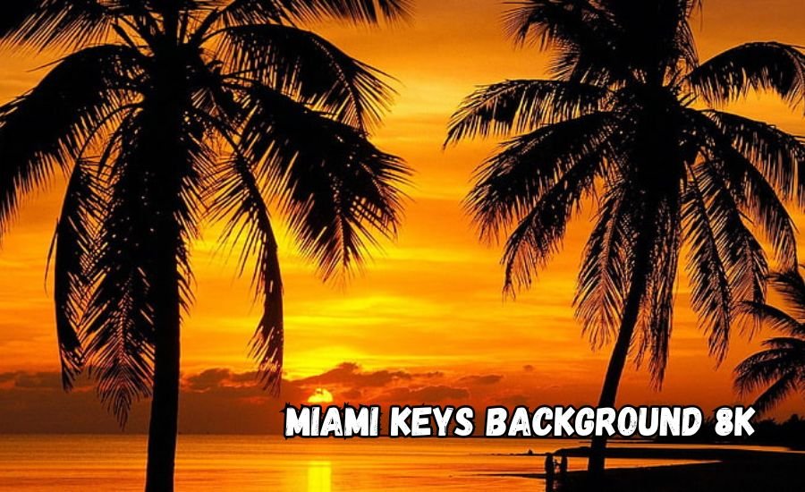 miami keys background 8k