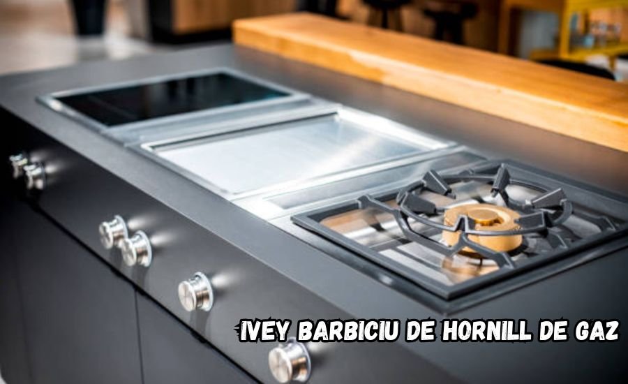 ivey barbiciu de hornill de gaz