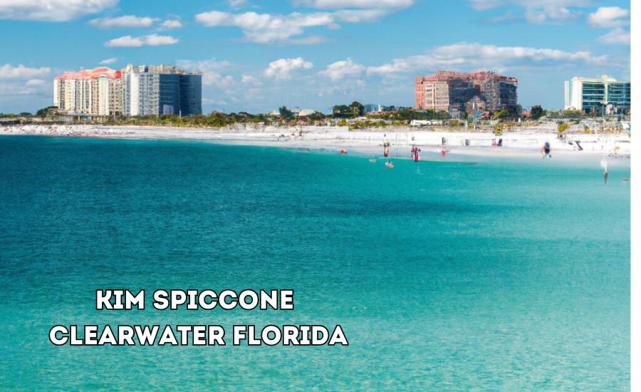 kim spiccone clearwater florida