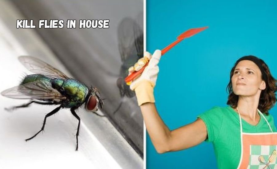 kill flies in house