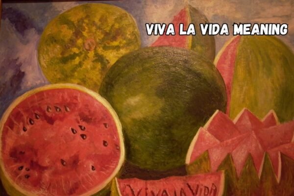 viva la vida meaning