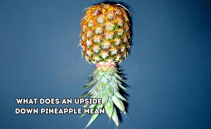 what does an upside down pineapple mean