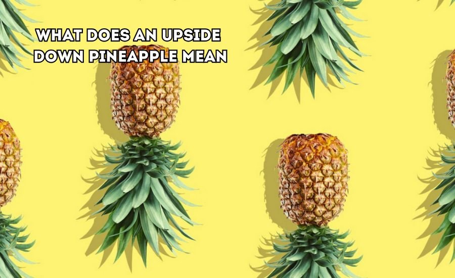 what does an upside down pineapple mean