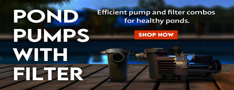 Pond Pump and Filters